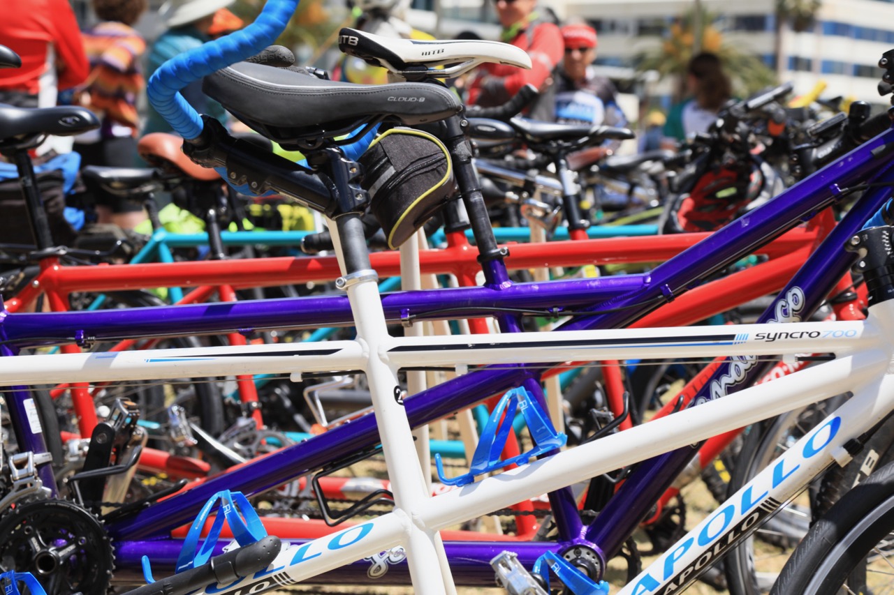 A close up view across a long alignment of colourful tandems, on display at Tandemonium 2022.